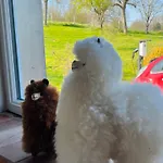 Maison Normande Grand Jardin A 10 Min De Cabourg